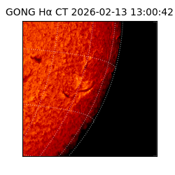 gong - 2026-02-13T13:00:42