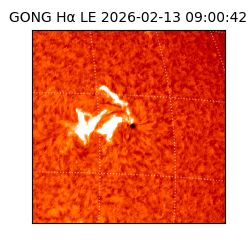 gong - 2026-02-13T09:00:42