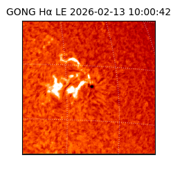 gong - 2026-02-13T10:00:42