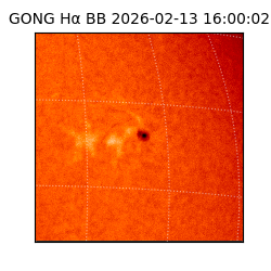 gong - 2026-02-13T16:00:02