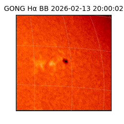 gong - 2026-02-13T20:00:02