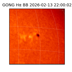 gong - 2026-02-13T22:00:02