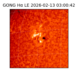gong - 2026-02-13T03:00:42