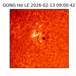 gong - 2026-02-13T09:00:42