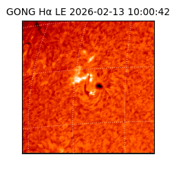 gong - 2026-02-13T10:00:42