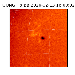 gong - 2026-02-13T16:00:02