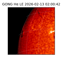 gong - 2026-02-13T02:00:42