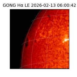 gong - 2026-02-13T06:00:42