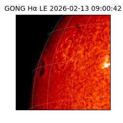 gong - 2026-02-13T09:00:42