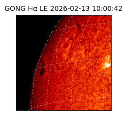 gong - 2026-02-13T10:00:42