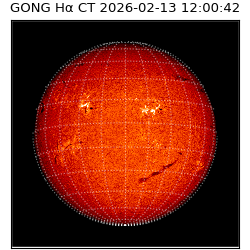 gong - 2026-02-13T12:00:42
