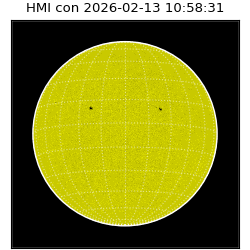 shmi - 2026-02-13T10:58:31.800000