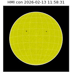 shmi - 2026-02-13T11:58:31.800000