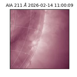 saia - 2026-02-14T11:00:09.626000