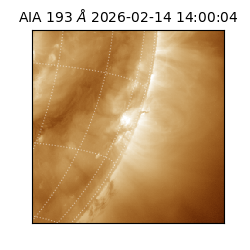 saia - 2026-02-14T14:00:04.843000