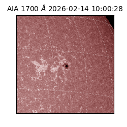 saia - 2026-02-14T10:00:28.734000