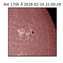 saia - 2026-02-14T22:00:28.717000