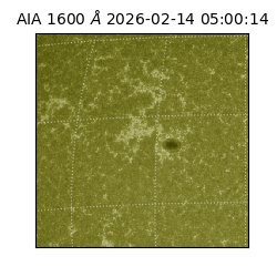 saia - 2026-02-14T05:00:14.129000