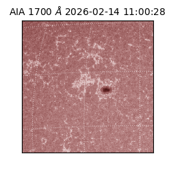 saia - 2026-02-14T11:00:28.734000