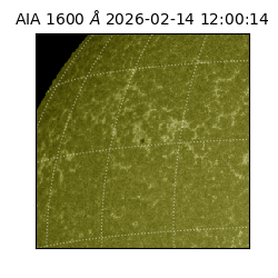 saia - 2026-02-14T12:00:14.125000