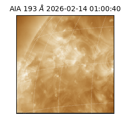 saia - 2026-02-14T01:00:40.835000