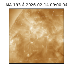 saia - 2026-02-14T09:00:04.843000