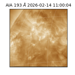 saia - 2026-02-14T11:00:04.843000