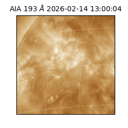 saia - 2026-02-14T13:00:04.843000