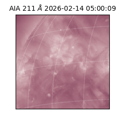 saia - 2026-02-14T05:00:09.626000