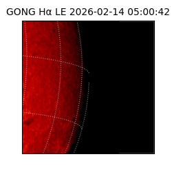 gong - 2026-02-14T05:00:42