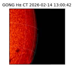 gong - 2026-02-14T13:00:42