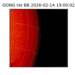 gong - 2026-02-14T19:00:02