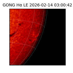 gong - 2026-02-14T03:00:42