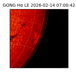 gong - 2026-02-14T07:00:42