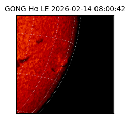 gong - 2026-02-14T08:00:42
