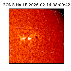 gong - 2026-02-14T08:00:42
