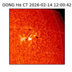 gong - 2026-02-14T12:00:42