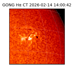 gong - 2026-02-14T14:00:42