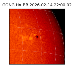 gong - 2026-02-14T22:00:02