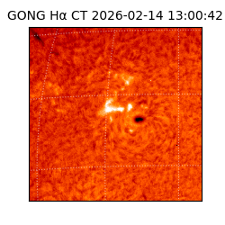 gong - 2026-02-14T13:00:42