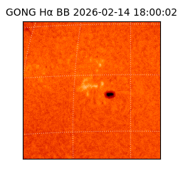 gong - 2026-02-14T18:00:02
