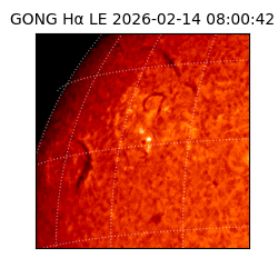 gong - 2026-02-14T08:00:42
