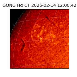 gong - 2026-02-14T12:00:42