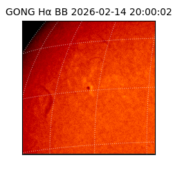 gong - 2026-02-14T20:00:02