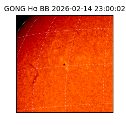 gong - 2026-02-14T23:00:02