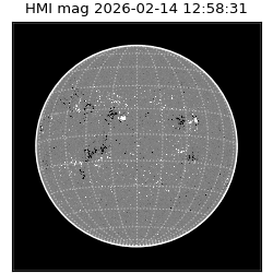 shmi - 2026-02-14T12:58:31.800000