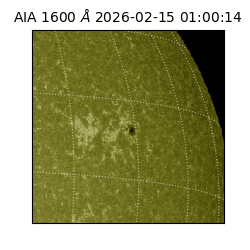 saia - 2026-02-15T01:00:14.126000