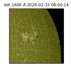 saia - 2026-02-15T08:00:14.125000