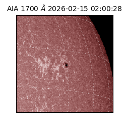 saia - 2026-02-15T02:00:28.709000