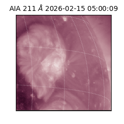 saia - 2026-02-15T05:00:09.633000